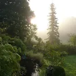 Muehlenblick *