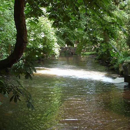 Muehlenblick *